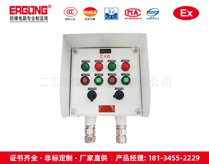 專業生產防爆防腐接線箱隔爆操作柱